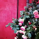 Casarossa *