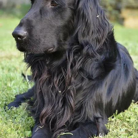 Farmház Casarossa Rivergaro