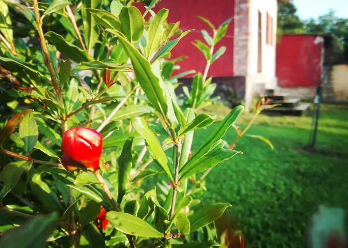 Casarossa Alloggio per agriturismo