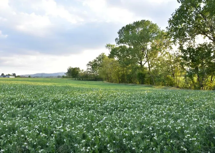 Casarossa Alloggio per agriturismo Rivergaro
