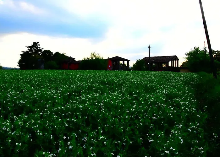 Casarossa *