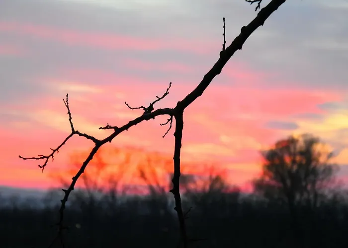 Alloggio per agriturismo Casarossa