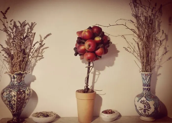 Alloggio per agriturismo Casarossa Rivergaro