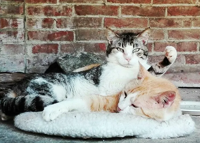 Alloggio per agriturismo Casarossa