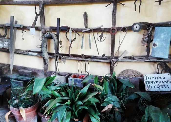 Casarossa Rivergaro