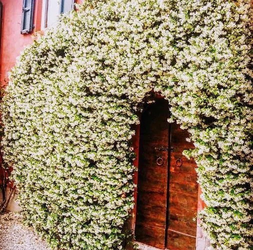 Casarossa Feriegård Rivergaro